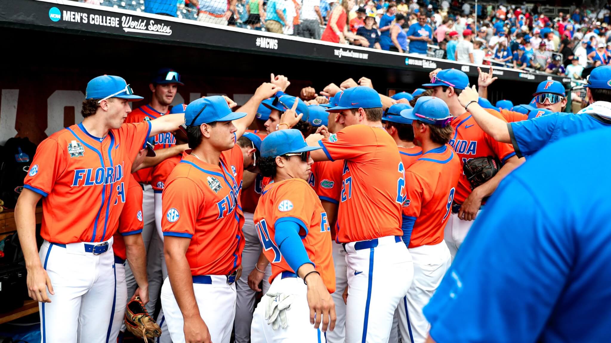 gators baseball