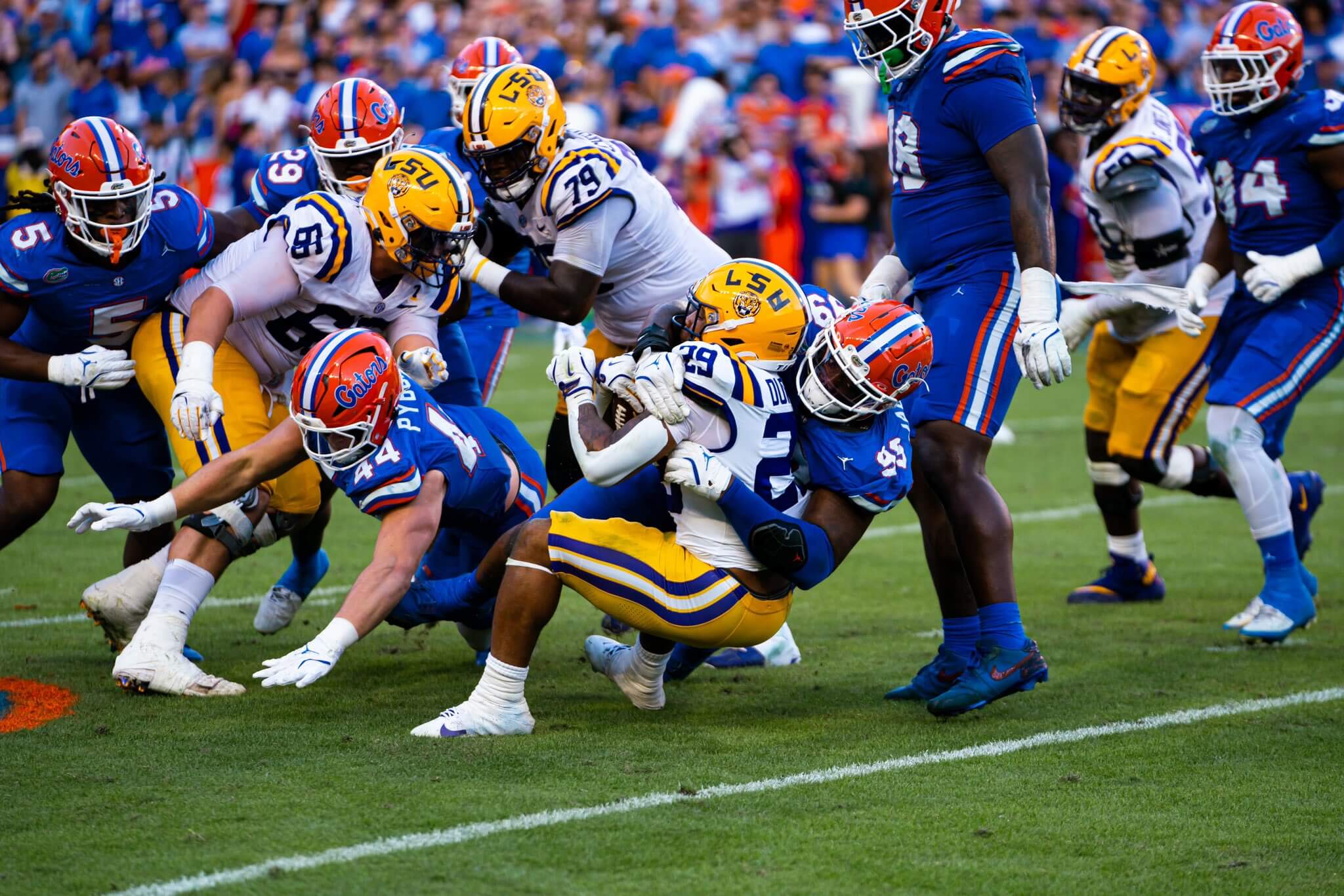 florida gators